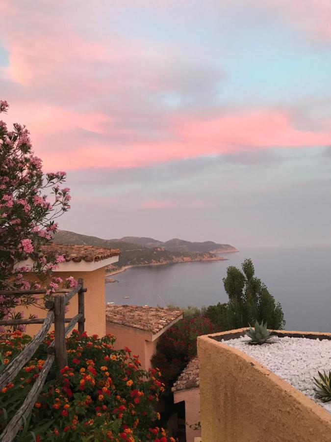 Mare Nostrum Holiday home *